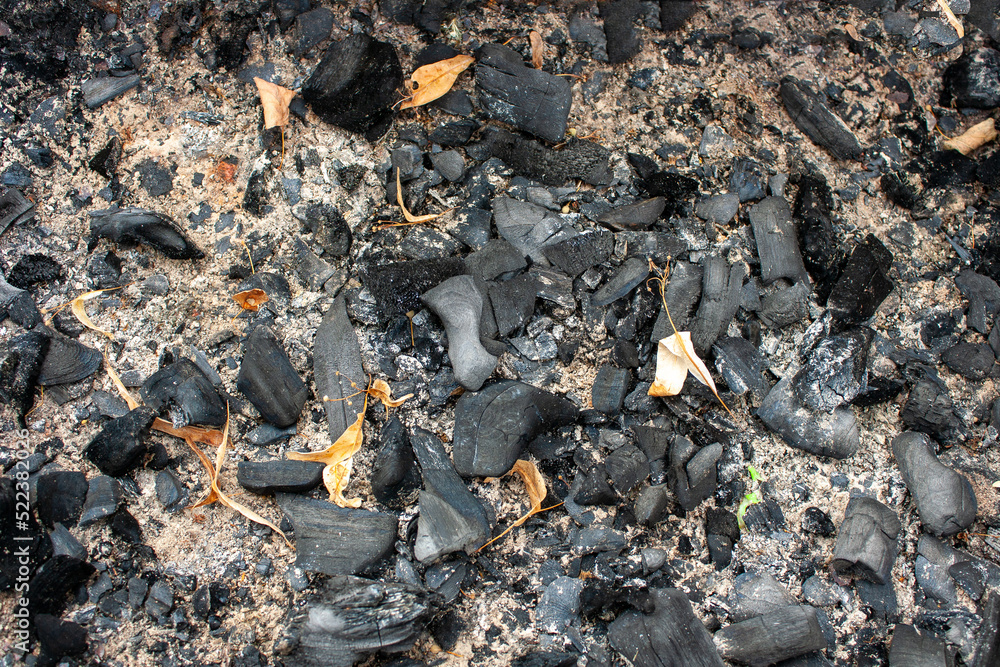 burnt coals after a picnic, texture background burnt coals after a picnic, texture background