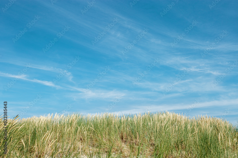 Beach dunes nature view with dune green grass, fine sand and blue clouds sky. Shore of Baltic sea, Russia. Natural summer landscape, view seacoast for rest and travel, nature scenery Beach dunes nature view with dune green grass, fine sand and blue clouds sky. Shore of Baltic sea, Russia. Natural summer landscape, view seacoast for rest and travel, nature scenery