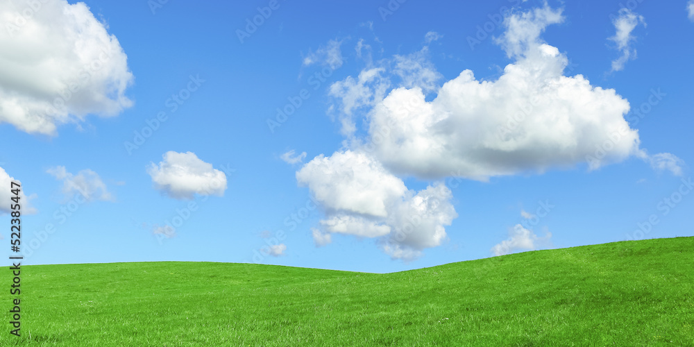 Fototapeta premium Green grass field and blue sky with clouds, aesthetic nature background, wide banner. Idyllic grassland, summer or spring landscape, green countryside fields, blue sky cloudy, bright colors nature