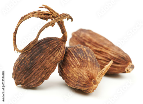 Black cardamom on a white background  photo