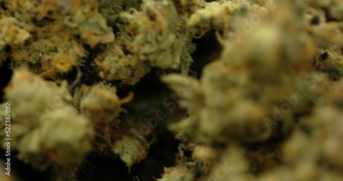 cannabis buds jumbling slow motion