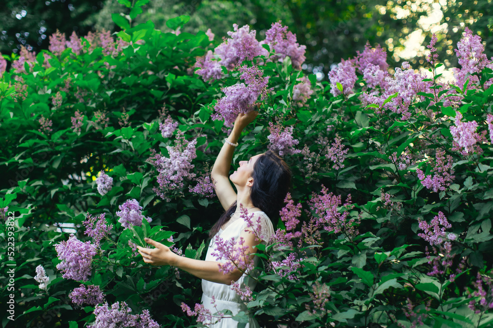 Portrait of an attractive woman surrounded by lilac bushes. Spring and summer, seasonal photos. Front view. Portrait of an attractive woman surrounded by lilac bushes. Spring and summer, seasonal photos. Front view.