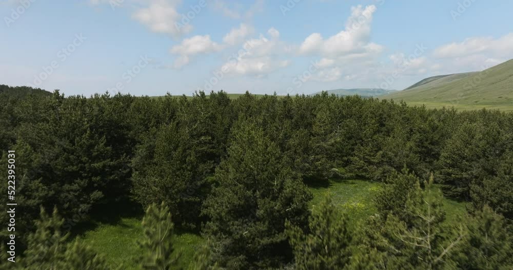 Flying Over A Forested Area And Grassy Field Near The End Of Tabatskuri Lake In Georgia. Drone Shot Flying Over A Forested Area And Grassy Field Near The End Of Tabatskuri Lake In Georgia. Drone Shot