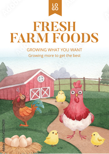 Poster template with chicken farm food concept,watercolor style