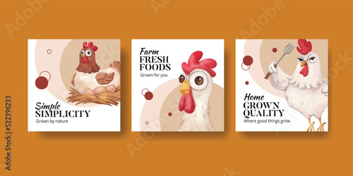 Banner template with chicken farm food concept,watercolor style Fototapet