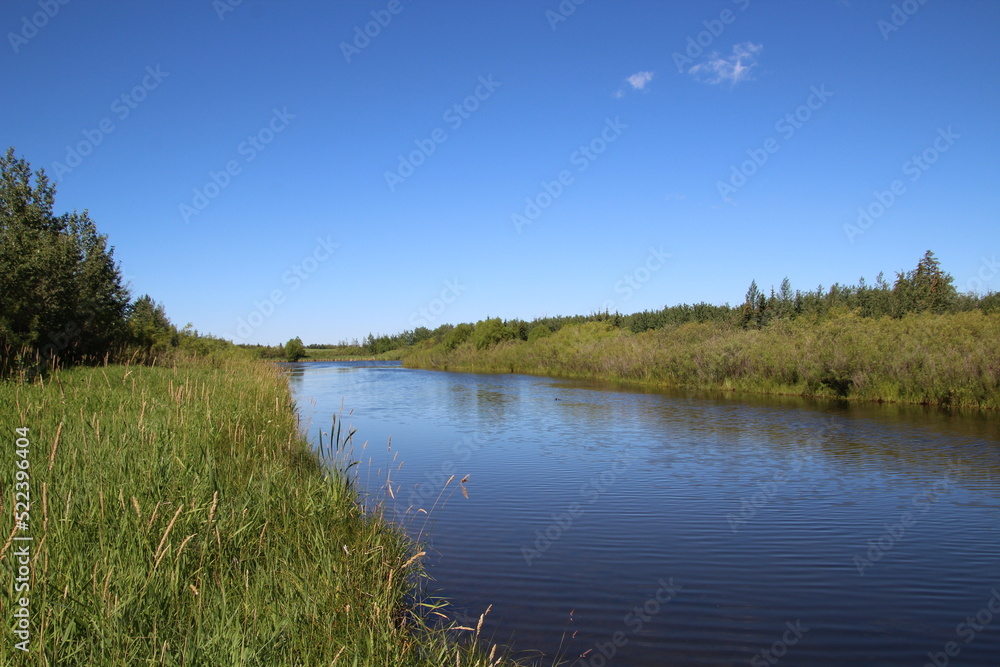 Summer On The Lake, Pylypow Wetlands, Edmonton, Alberta
