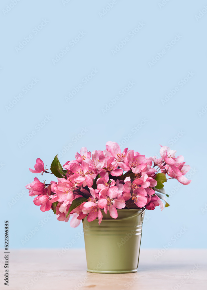 Pink spring flowers in a tiny olive bucket. Pastel blue cozy setup with copy space. Blooming fruit tree branch. Greeting card. Border banner Pink spring flowers in a tiny olive bucket. Pastel blue cozy setup with copy space. Blooming fruit tree branch. Greeting card. Border banner