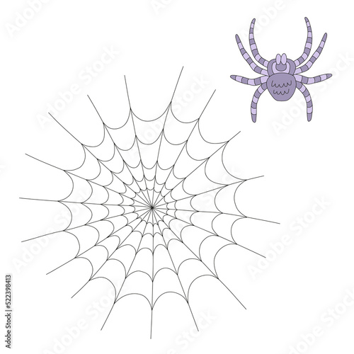Billede på lærred Spooky spider tarantula cobweb vector illustration isolated on white