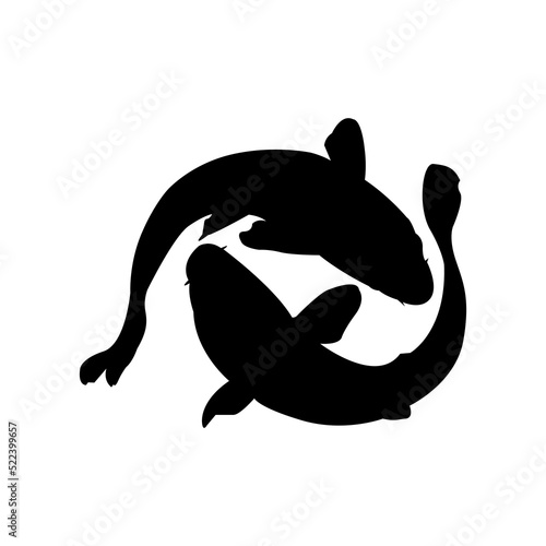 Silhouette of Two Japanese Koi Fish Swimming in a Circle