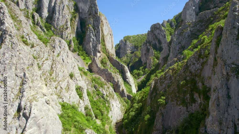 Aerial drone view of a rocky canyon in Romania. Rocky cliffs with greenery Aerial drone view of a rocky canyon in Romania. Rocky cliffs with greenery