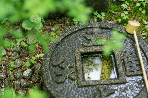 京都 金福寺の新緑とつくばい photo