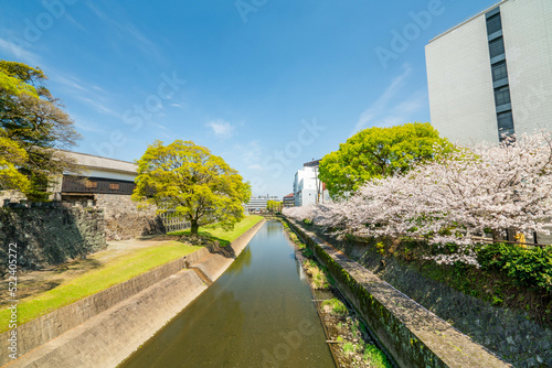 熊本城の川