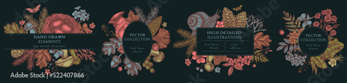 Mysterious forest hand drawn frame templates. Vintage illustrations of waxwing, snail, nest, pool frog, moss, spruce branch, pine cones, chamomile, insect, aspen mushroom, porcini, red currant, oak