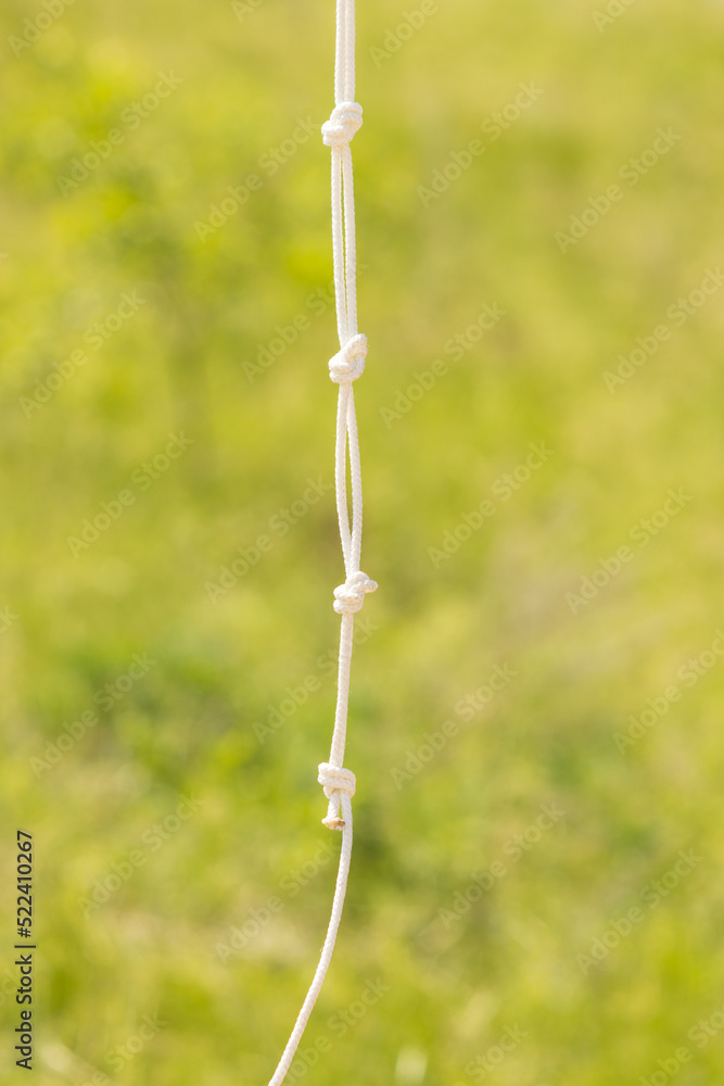 white rope with knots on a green background