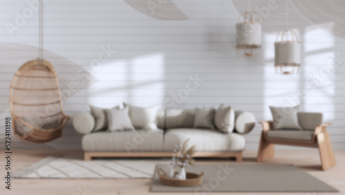Blurred background, japandi living room with copy space. Sofa and hanging armchair. Wabi sabi interior design