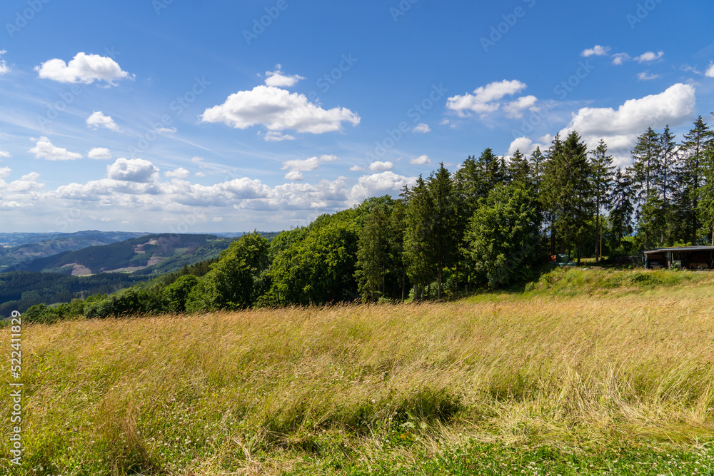 Landscape at Schomberg in Sauerland. Nature with forests and hiking trails near Sundern on the Lennegebirge.
