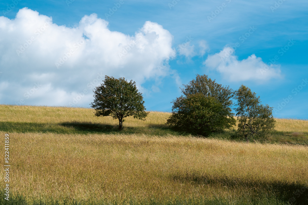 Landscape at Schomberg in Sauerland. Nature with trees and meadows near Sundern on the Lennegebirge.
Landscape at Schomberg in Sauerland. Nature with trees and meadows near Sundern on the Lennegebirge.