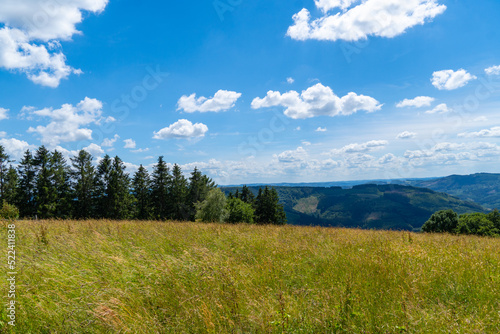 Landscape at Schomberg in Sauerland. Nature with forests and hiking trails near Sundern on the Lennegebirge. 