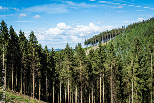 Landscape at Schomberg in Sauerland. Nature with forests and hiking trails near Sundern on the Lennegebirge.
 photo