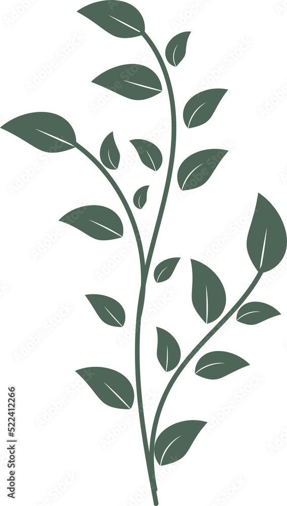 Botanical floral Hand drawn, leaf and branch element for design