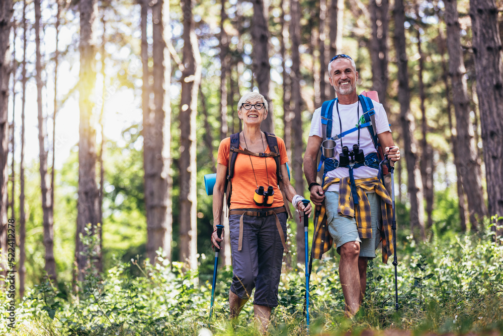 Senior couple hiking in forest wearing backpacks and hiking poles. Nordic walking, trekking. Healthy lifestyle. Senior couple hiking in forest wearing backpacks and hiking poles. Nordic walking, trekking. Healthy lifestyle.
