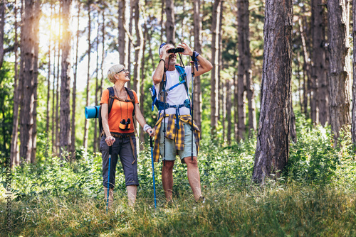 Senior couple hiking in forest wearing backpacks and hiking poles. Nordic walking, trekking. Healthy lifestyle.