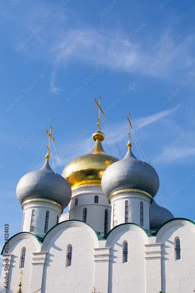 Novodevichy Monastery. The Cathedral in honor of the Smolensk icon of the Mother of God and the Church of the Intercession of the Most Holy Theotokos over the southern gate Moscow
