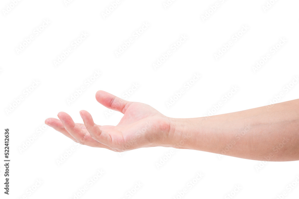 Hand isolated Hand isolated