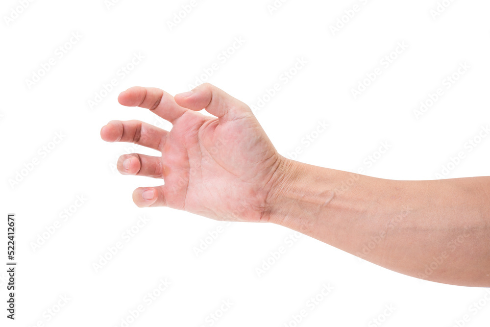 Hand isolated Hand isolated