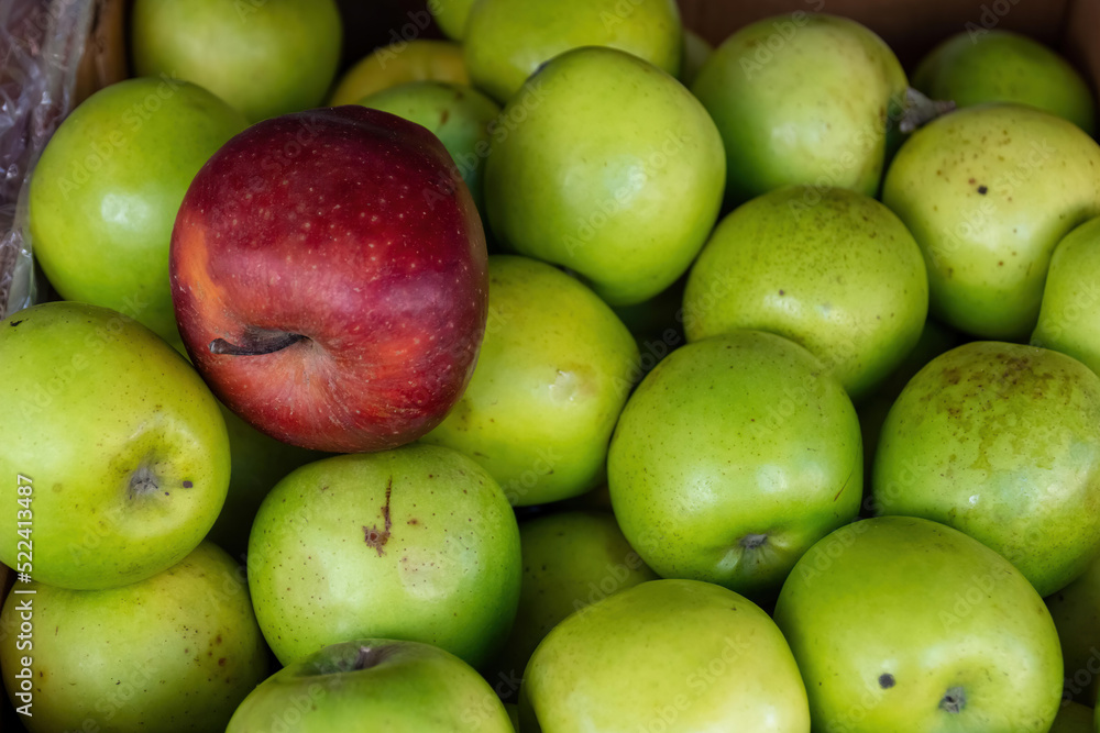 a red apple among green apples at a fruit market a red apple among green apples at a fruit market