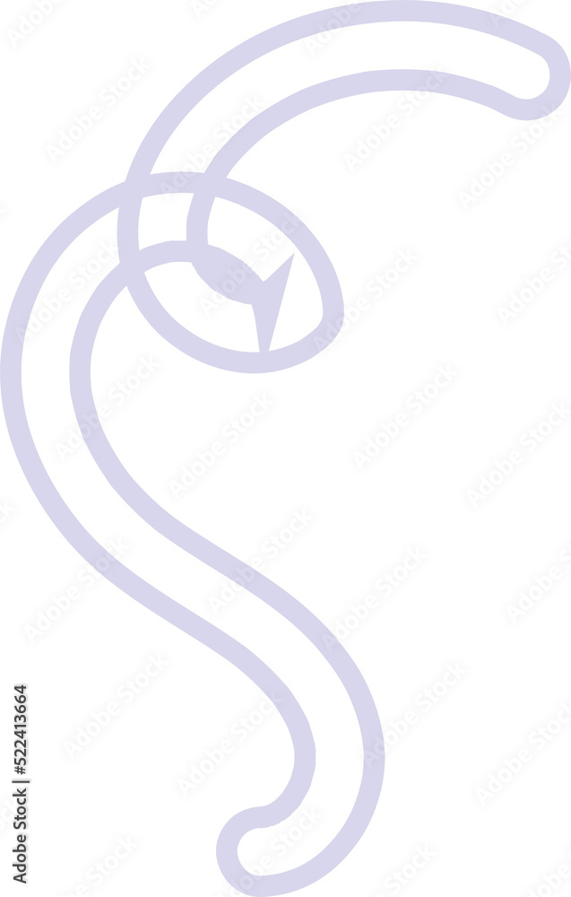 Obraz premium Aesthetic curly ribbon with hand drawn