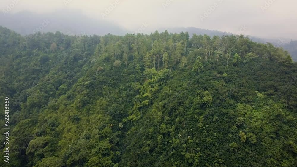 Bromo Rainforest Aerial Drone