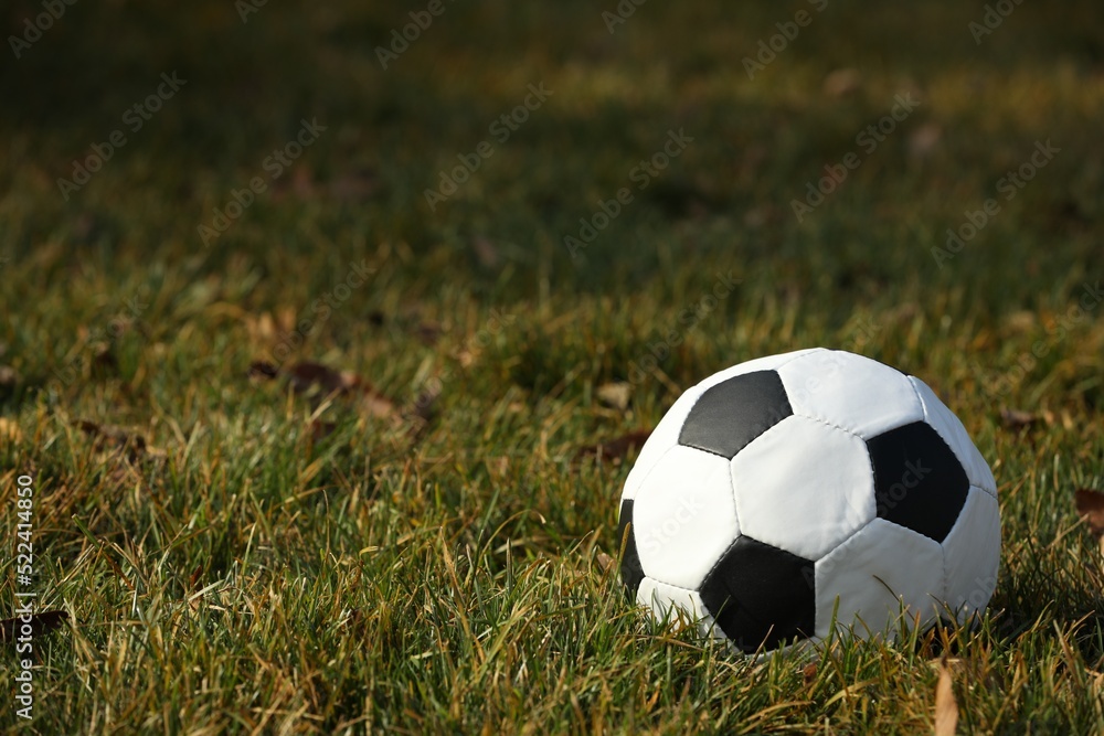 Soccer ball on green grass outdoors, space for text Soccer ball on green grass outdoors, space for text