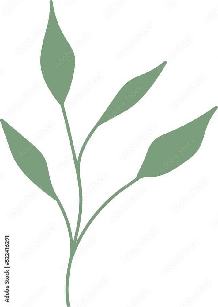 Tropical leaves green color, minimal style floral illustration