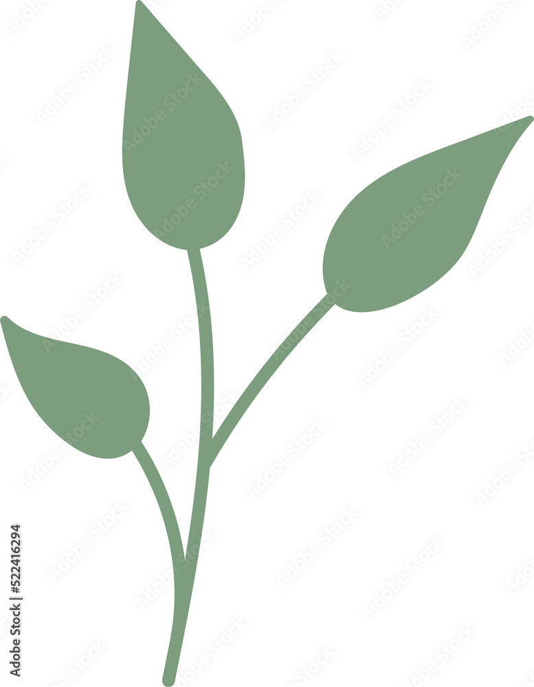 Obraz premium Tropical leaves green color, minimal style floral illustration