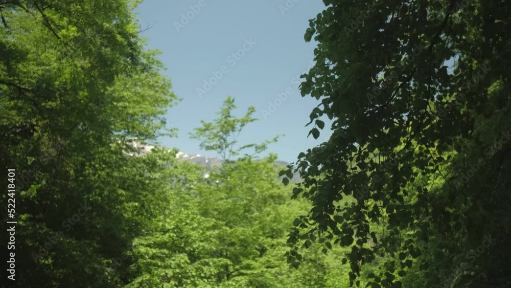 Beautiful realistic with green mountains Beautiful realistic with green mountains