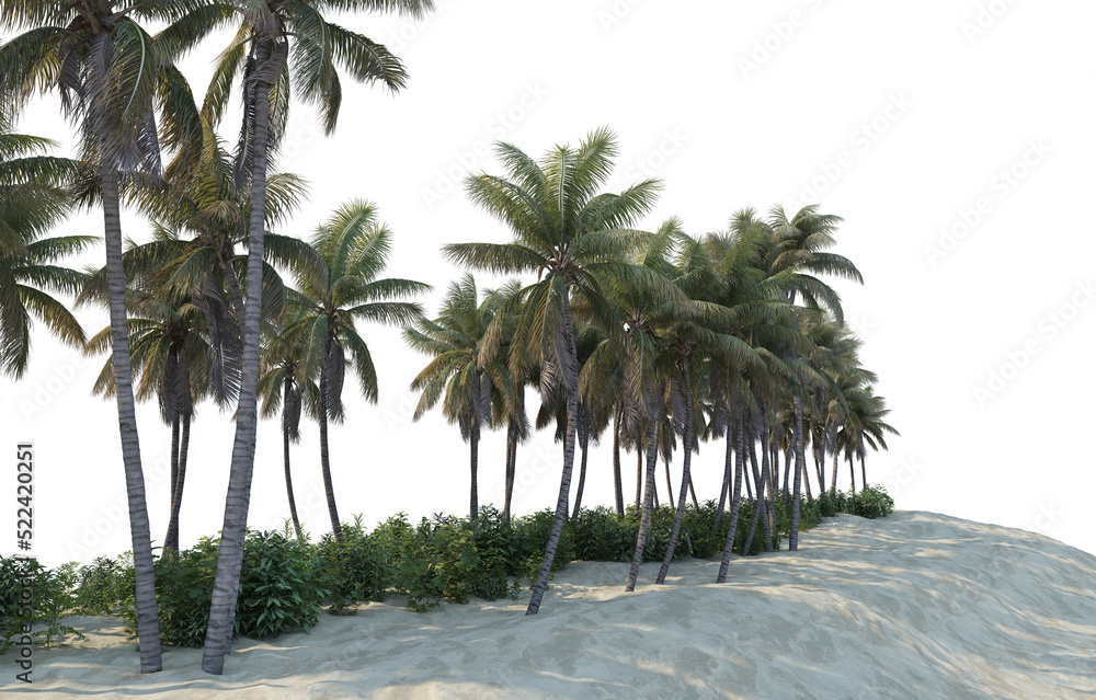 Coconut palm on transparent background