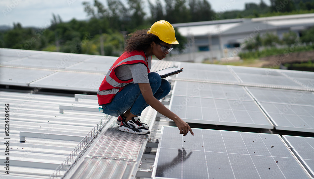 custom made wallpaper toronto digitalConstruction workers clean solar panels for energy.Renewable Energy Battery Clean Mountain Climber Activities Work Uniforms.Managers discuss electric power ecology, human, renewable energy.