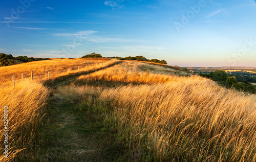 Golden evening light over the Giants Grave on the Wessex Downs Wiltshire south west England UK