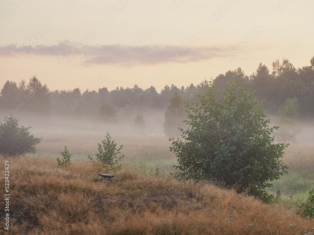 Beautiful sunrise in a foggy landscape Beautiful sunrise in a foggy landscape