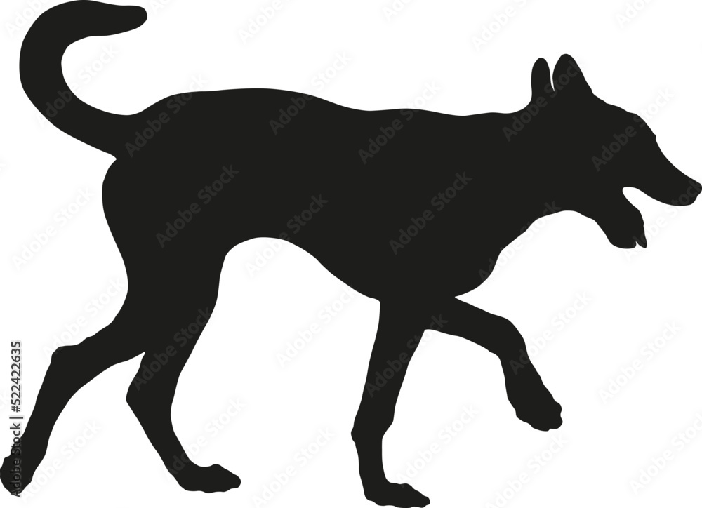 Black dog silhouette. Walking belgian sheepdog puppy. Malinois. Pet animals. Isolated on a white background. Vector illustration.