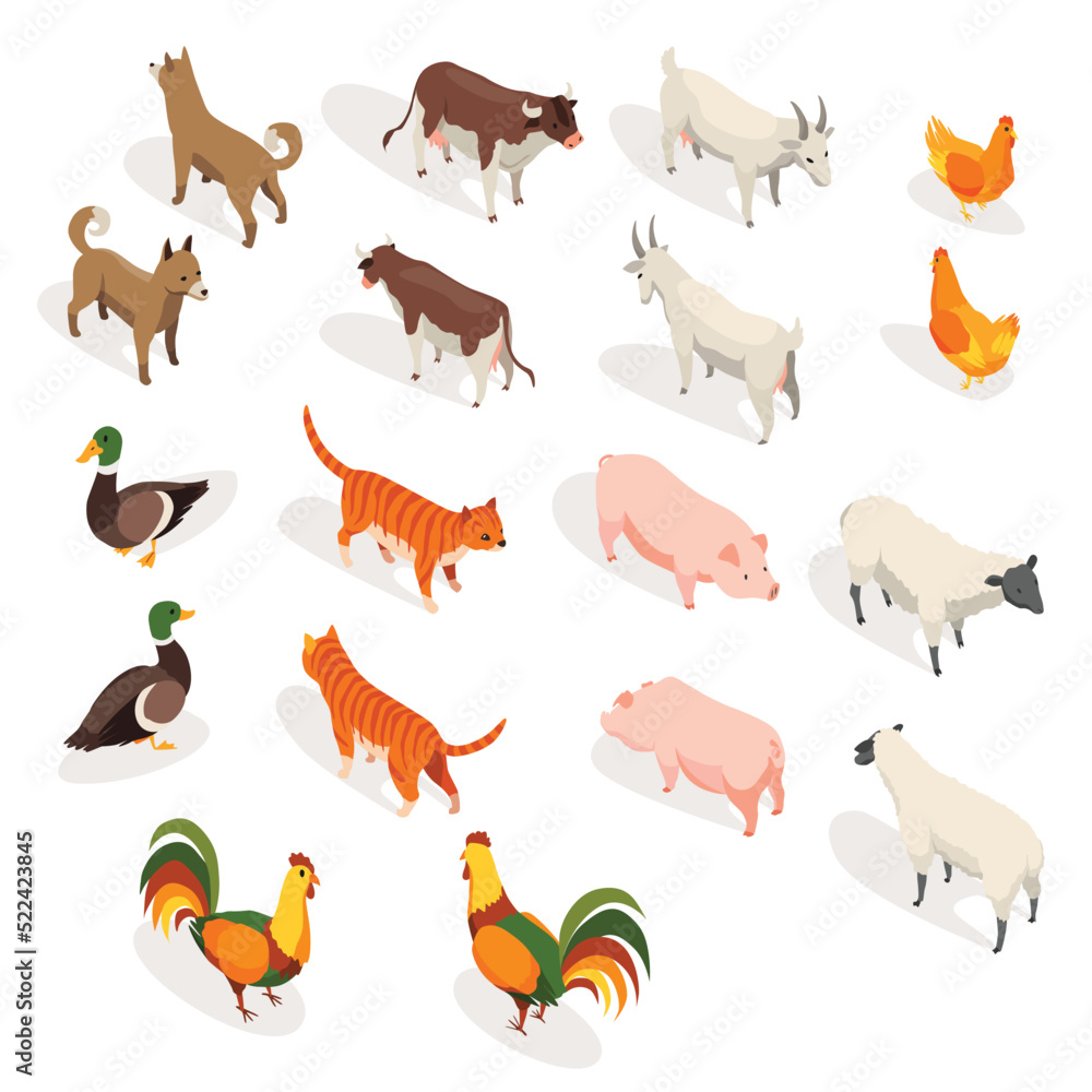 Farm animals isometric. Set of domestic animals in 3d flat back and front view. Cute game characters. Cow and dog, cat and goose, chicken and goat, sheep, pig and duck. Vector icons