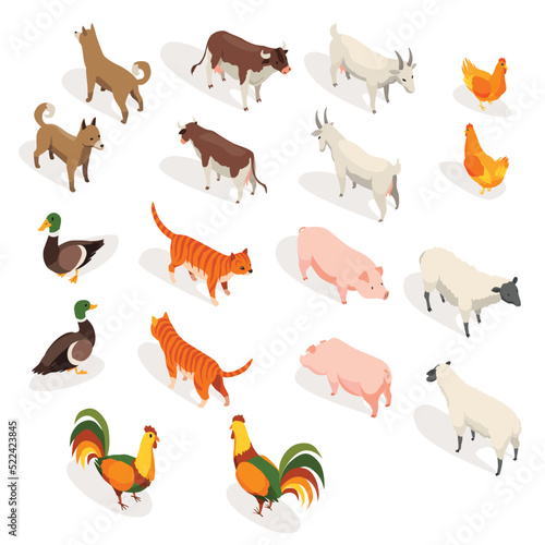 Farm animals isometric. Set of domestic animals in 3d flat back and front view. Cute game characters. Cow and dog  cat and goose  chicken and goat  sheep  pig and duck. Vector icons