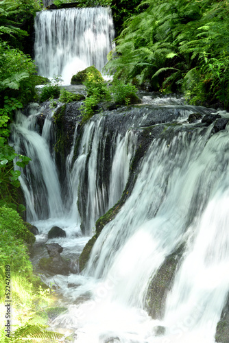 白糸の滝の清らかな水