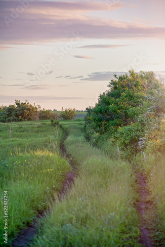 Rural landscape with lush greenery of grass and bushes and a ground footpath against a colorful cloudy sunset sky.