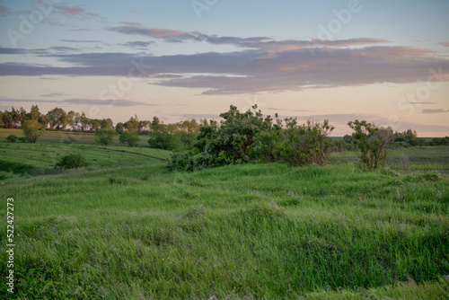 Rural landscape of rolling hills with lush greenery of grass and bushes against a colorful cloudy sunset sky.