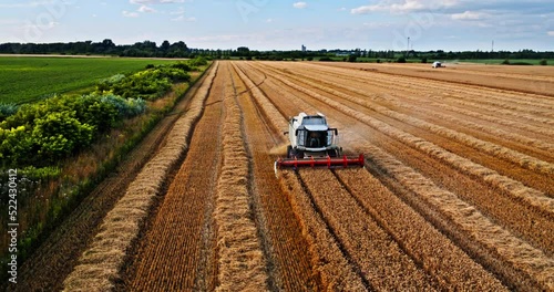 Agricultural farm combine harvester on industrial wheat field
