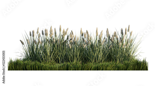 A 3d rendering image of a lot of grass flower on green grass field