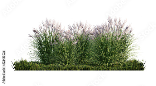 A 3d rendering image of a lot of grass flower on green grass field © ohsuriya