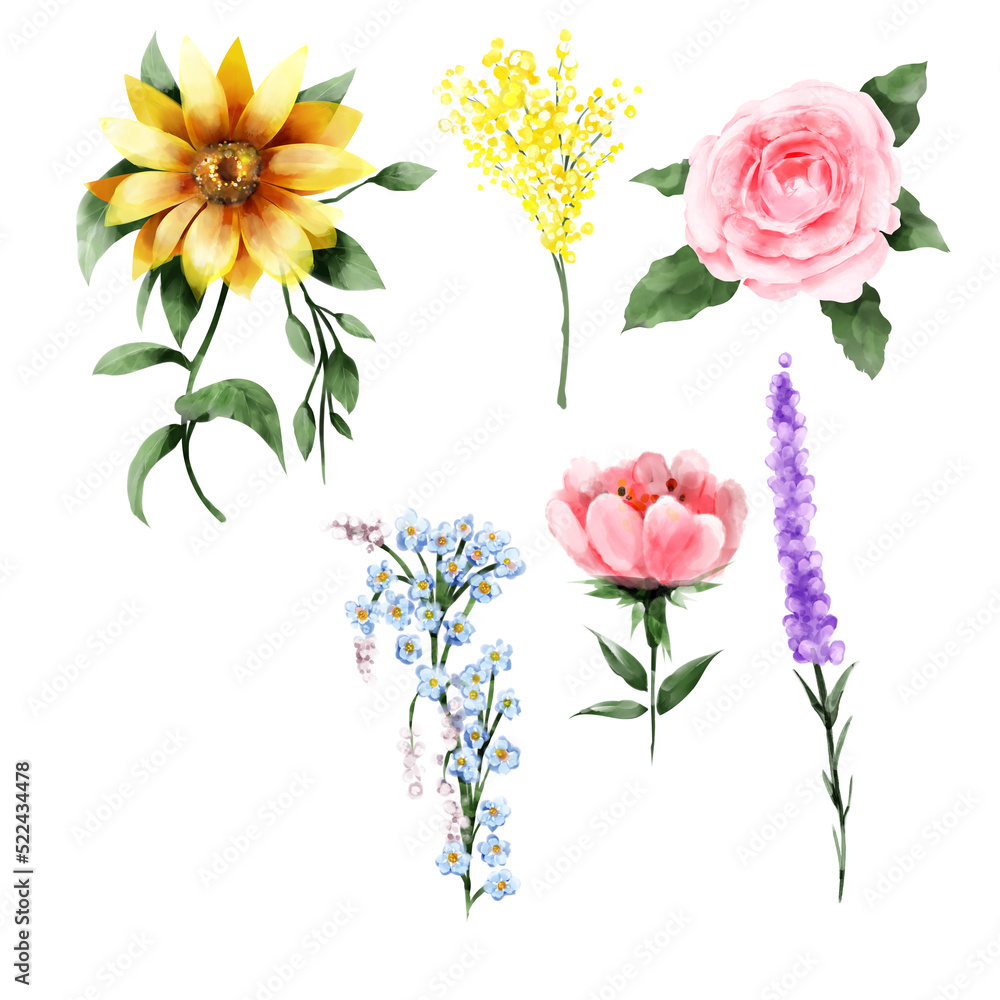 Set of wild flower watercolor style